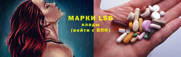дурь Аркадак