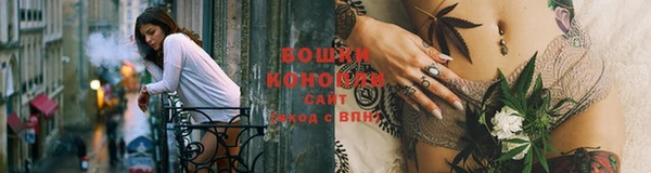 ПСИЛОЦИБИНОВЫЕ ГРИБЫ Снежногорск