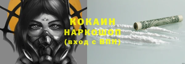 амф Арсеньев