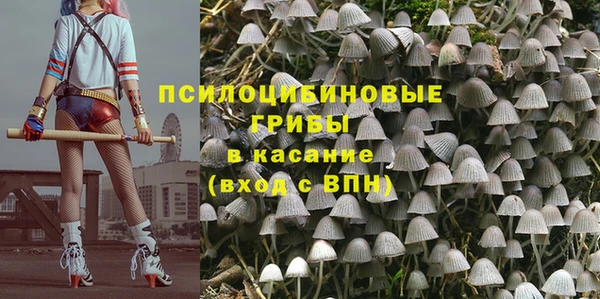 первитин Армянск