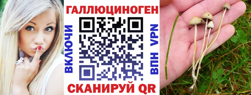 Псилоцибиновые грибы GOLDEN TEACHER Кукмор