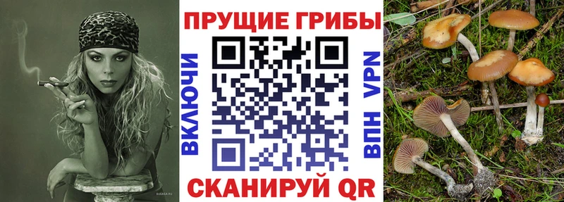 Псилоцибиновые грибы GOLDEN TEACHER  дарк нет как зайти  Кукмор 